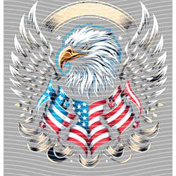 USA-MG 3729